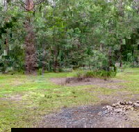 Blue Gum Flat campground - Holiday Cairns