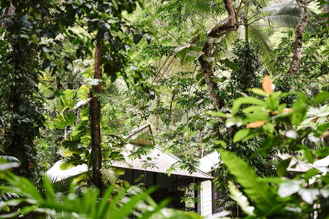 Daintree Ecolodge - Holiday Cairns 0