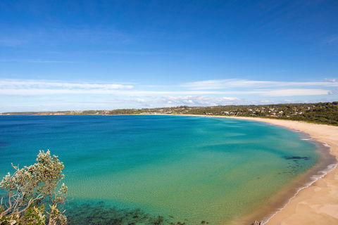 Footsteps To Mollymook Beach - Holiday Cairns 2