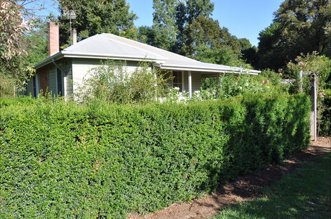 Honeysuckle Cottage - Holiday Cairns 1