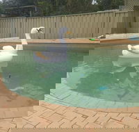Landy's Holiday House - Holiday Cairns
