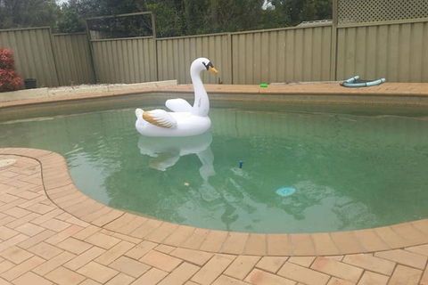 Landy's Holiday House - Holiday Cairns 0