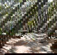 Perth Hills Centre Campground at Beelu National Park - Holiday Cairns