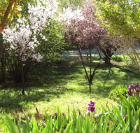 Sofala Cottage - Holiday Cairns
