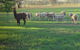 Wallinga Studio Farmstay - thumb 0