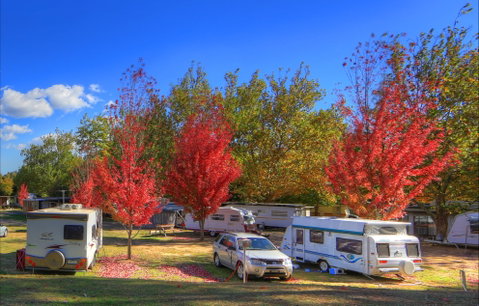 Beechworth Lake Sambell Caravan Park - Holiday Cairns 0
