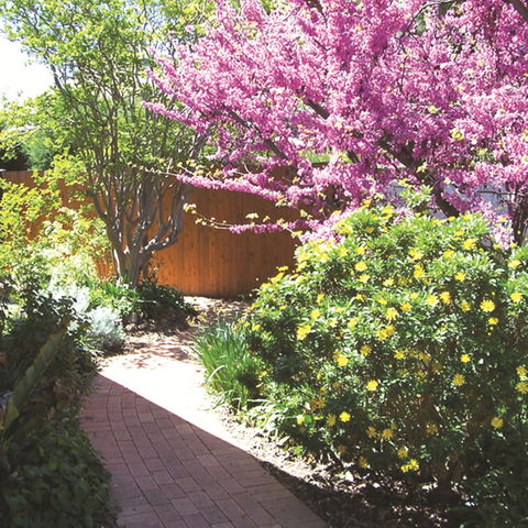 Country Gardens Motor Inn - Holiday Cairns 1