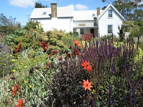 Robin Hood's Well Farm Stay - Holiday Cairns 2