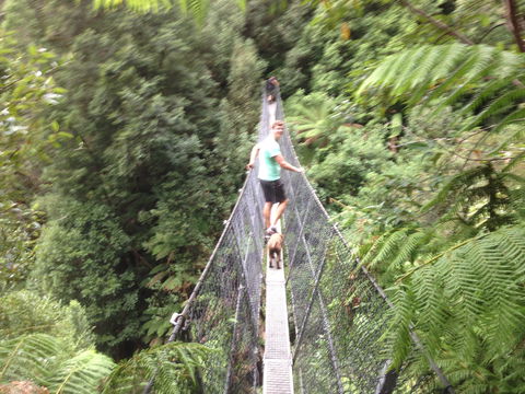 Rosebery Cabin And Tourist Park - Holiday Cairns 0
