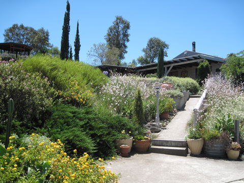 Valley View Cottage Hunter Valley - Holiday Cairns 0