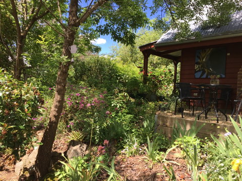 Artscape Cottage Beechworth - Holiday Cairns 2