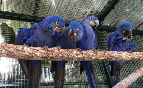 Ashmore Palms Holiday Village - Holiday Cairns 2