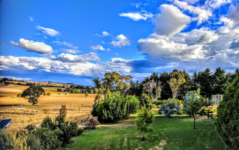 Dairy Park Farm Stay Bed And Breakfast - Holiday Cairns 1