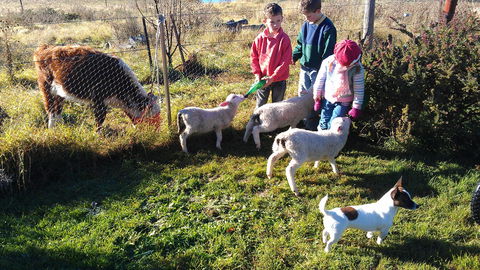 Dairy Park Farm Stay Bed And Breakfast - Holiday Cairns 2