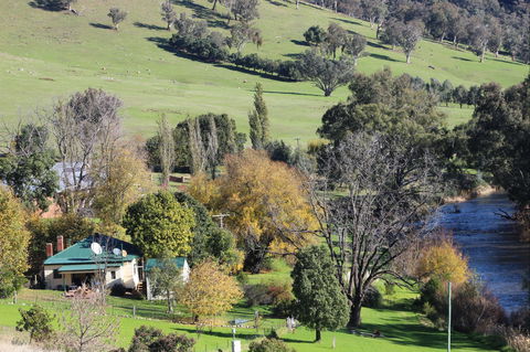 Elm Cottage Tumut - Holiday Cairns 1