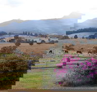 The Barn  House Farm Stay at Possum Manor - Holiday Cairns