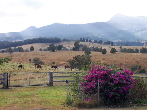 The Barn  House Farm Stay At Possum Manor - Holiday Cairns 0