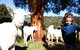 Valley View Nature Retreat - thumb 2