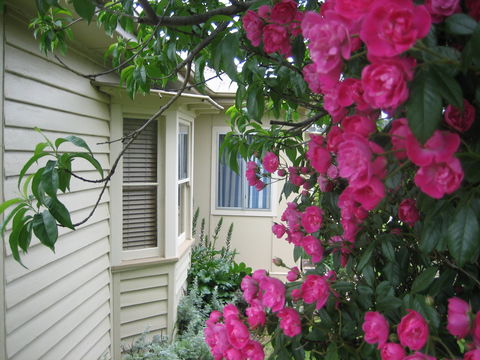 Valley Views Bed And Breakfast - Holiday Cairns 0