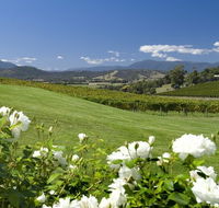 Balgownie Estate Vineyard Resort and Spa - Holiday Cairns