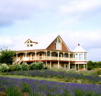 Serendipity Lavender Farm - Holiday Cairns