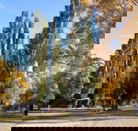 Omeo Caravan Park - Holiday Cairns