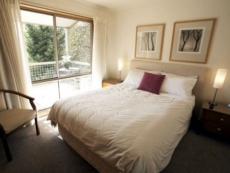 Chestnut Tree Holiday Apartments - Holiday Cairns 2