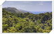Chris's Beacon Point Restaurant And Villas - thumb 3