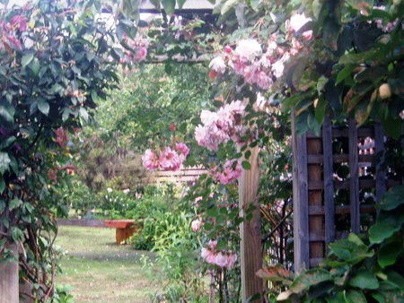 Hudspeth House Bed And Breakfast - Holiday Cairns 2