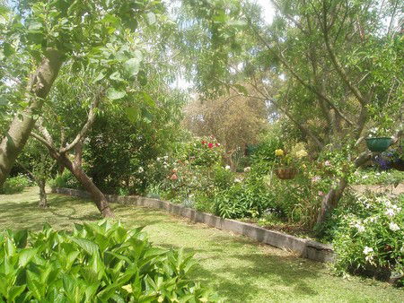 Hudspeth House Bed And Breakfast - Holiday Cairns 5