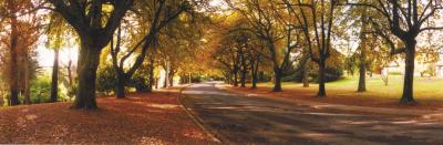 La Trobe At Beechworth - Holiday Cairns 0