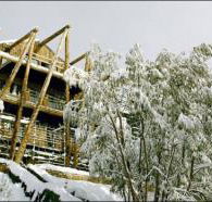 Silverski - Holiday Cairns