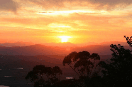 Avocado Sunset - Holiday Cairns