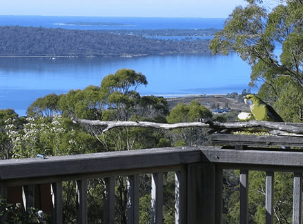 Bed in the Treetops - Holiday Cairns