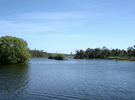 Currawong Lakes - Holiday Cairns