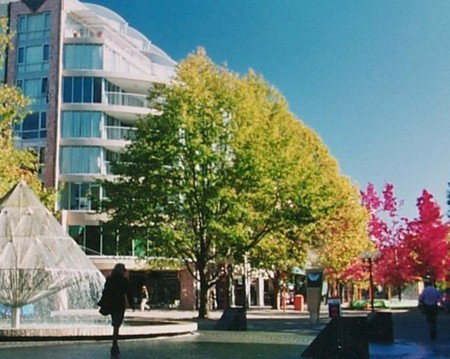 Canberra Wide Apartments - City Plaza - Holiday Cairns 2