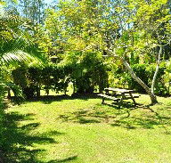 Wooli Caravan Park - Holiday Cairns