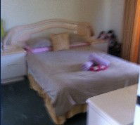 Lake Illawarra Bed & Breakfast - Holiday Cairns 2