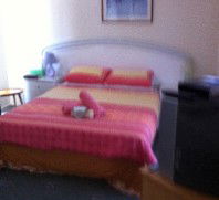 Lake Illawarra Bed & Breakfast - Holiday Cairns 4