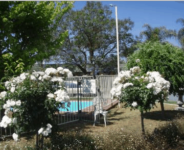 Aromet Motor Inn - Holiday Cairns 5
