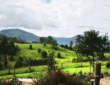 Nimbin Rox YHA - Holiday Cairns 1