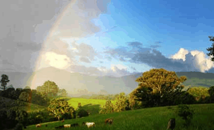 Nimbin Rox YHA - Holiday Cairns 3