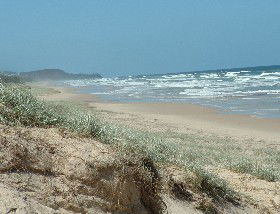 Beachcomber Peregian Beach - Holiday Cairns 4
