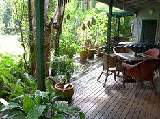 Byron Rainforest Villa - Holiday Cairns 1