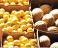 Brisbane Markets - Holiday Cairns