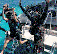 Snorkel Safari Brisbane - Holiday Cairns
