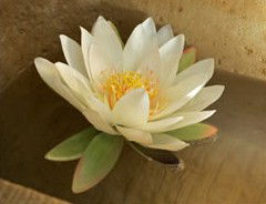 St Georges Natural Health Therapies - Holiday Cairns 3
