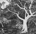 Tacit Contemporary Art - Holiday Cairns