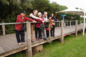 Phillip Island Penguin Parade - Holiday Cairns 1