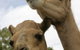 Marapana Wildlife Park - thumb 3
